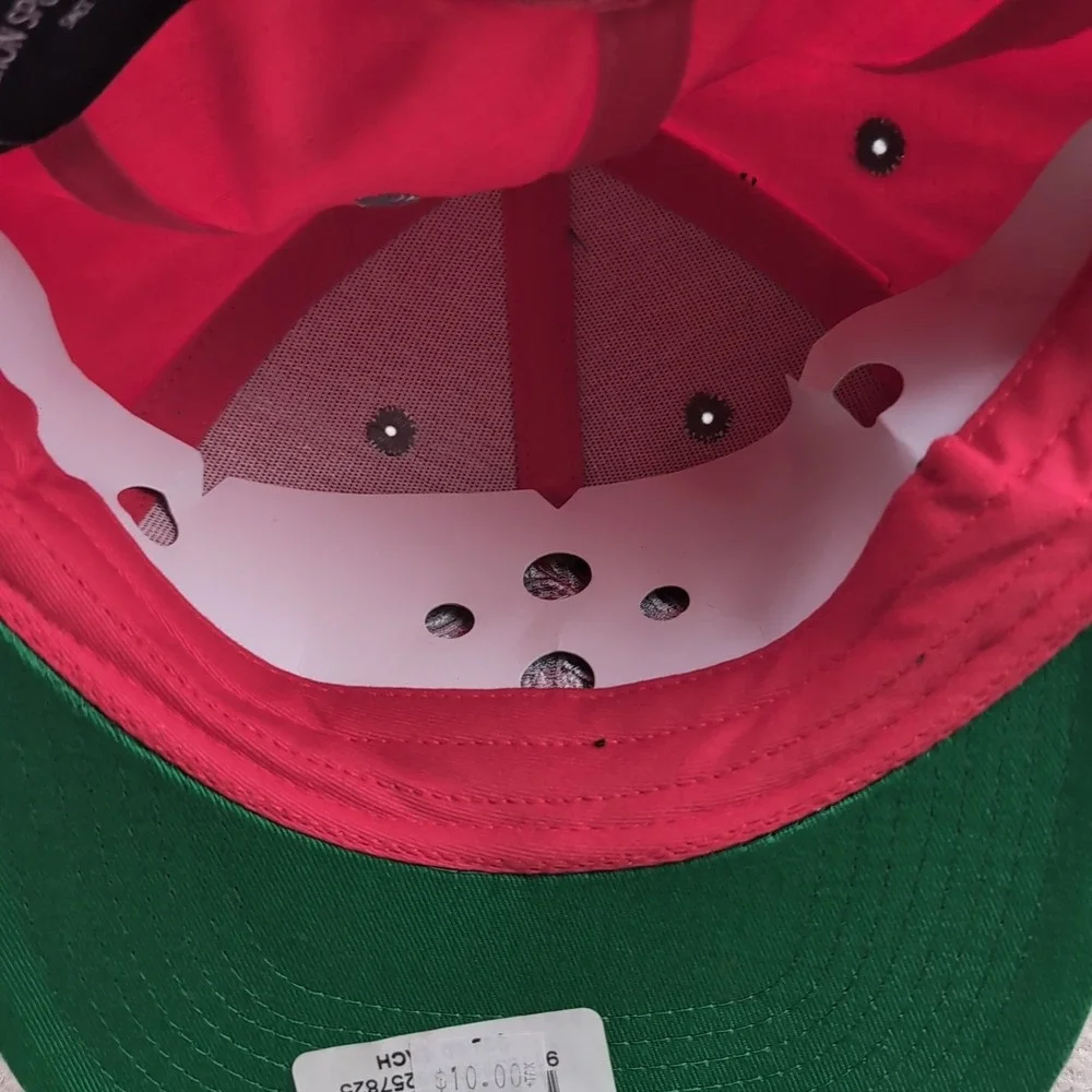 Cameron Sports Novelty Flat Bill Retro Snapback Adult Cap Hats Phoenix Red Vtg